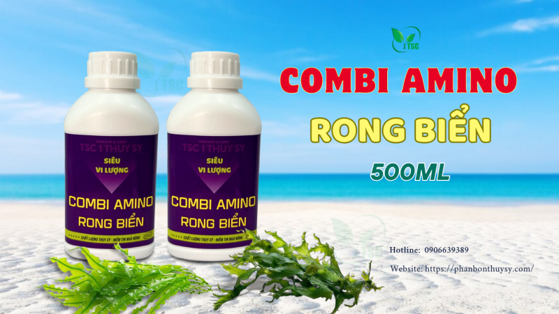 10 60 10 TE RA HOA Thụy Sỹ Kích Ra Hoa Đồng Loạt, Phát Hoa Dài, Đậu Trái Nhiều, Hạn Chế Đen Khô Hoa - Ảnh 2