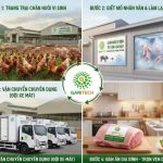 BÍ QUYẾT GIỮ TRỌN ĐỘ TƯƠI NGON CỦA THỊT TỪ TRANG TRẠI ĐẾN BÀN ĂN NHỜ CHUỖI CUNG ỨNG LẠNH